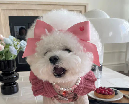 Elegant Bow Pet Hair Band